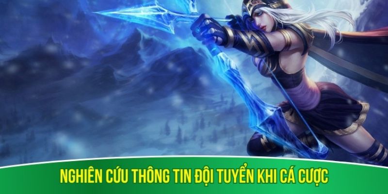 Nghiên cứu thông tin đội tuyển khi cá cược đội chiến thắng