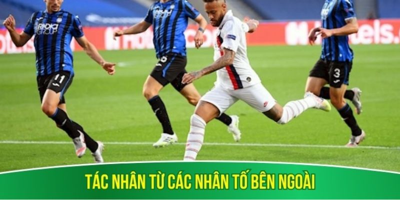 Tác nhân từ các nhân tố bên ngoài