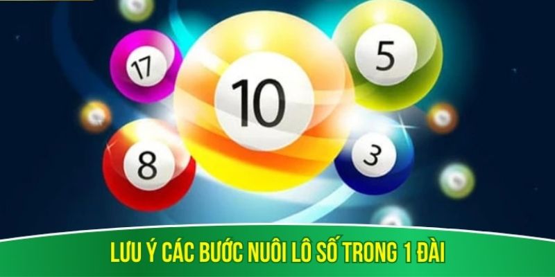 Nuôi số theo đài – chơi có trách nhiệm