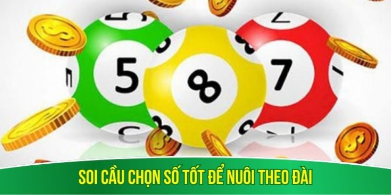 Soi cầu chọn số tốt để nuôi theo đài