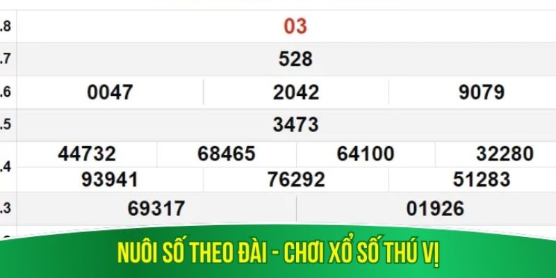 Nuôi số theo đài – chơi xổ số thú vị