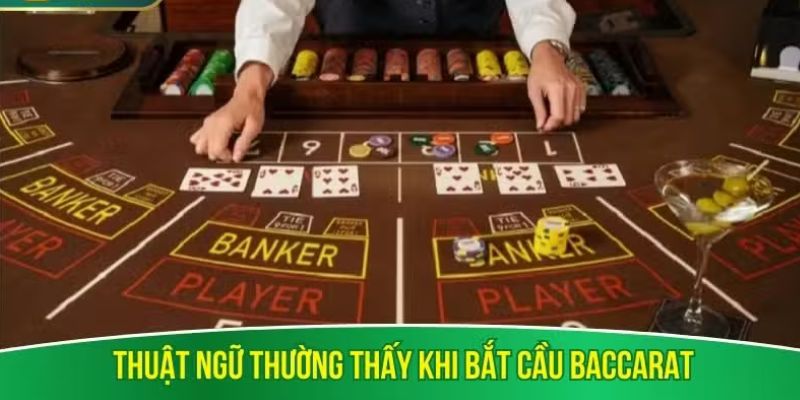 Thuật ngữ thường thấy khi bắt cầu baccarat