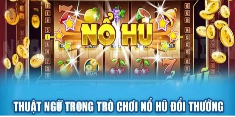 Tổng hợp thuật ngữ quan trọng tại Slot KO66